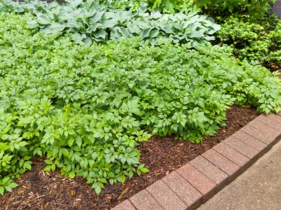 Brick Hardscape Construction in Boston, MA