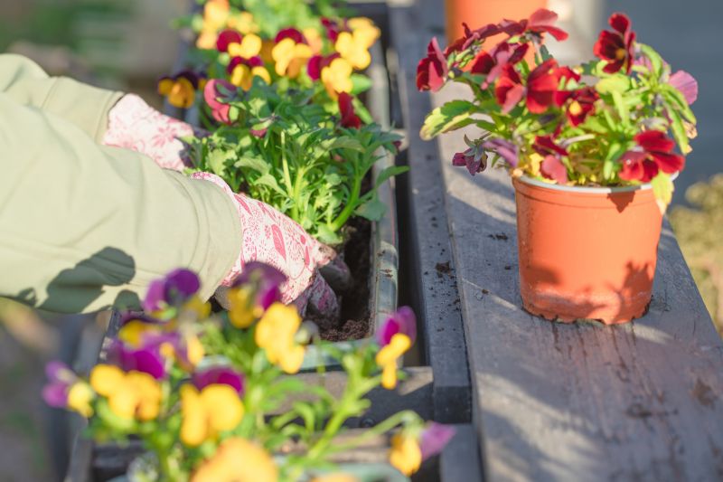 Planting Service in Honolulu, HI